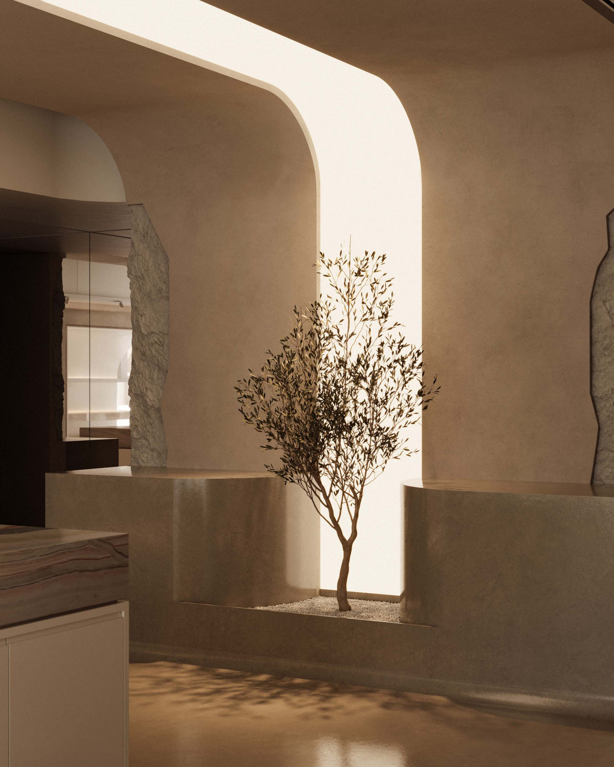 A serene, contemporary retail space featuring smooth, curved walls and a small potted tree that adds a natural touch to the otherwise minimalist, stone-textured design.