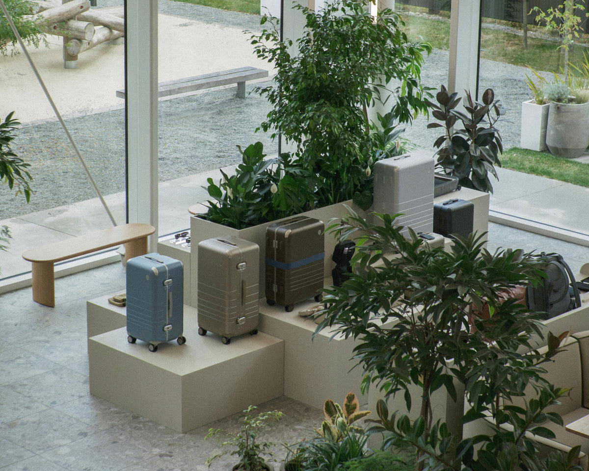 The hybrid collection displayed on beige pedestals inside a modern, sunlit room with large windows and indoor plants.