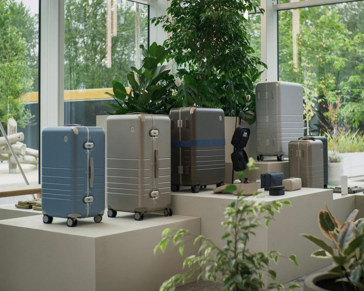 The Hybrid Collection displayed on white pedestals in a modern indoor setting with large windows and green plants.